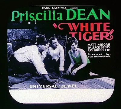 White Tiger poster