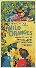 Wild Oranges poster