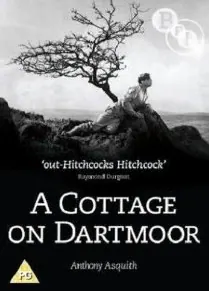 A Cottage on Dartmoor poster