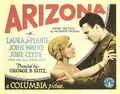 Arizona poster