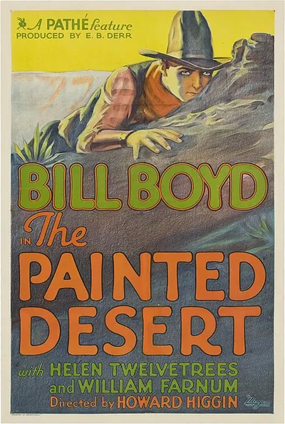 The Painted Desert poster