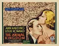 The Animal Kingdom poster