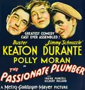 The Passionate Plumber poster