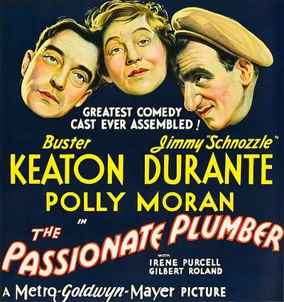 The Passionate Plumber poster