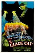 The Black Cat poster