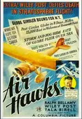 Air Hawks poster