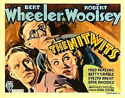 The Nitwits poster