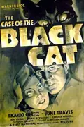 The Case of the Black Cat poster