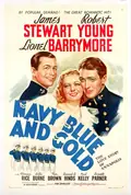Navy Blue and Gold poster