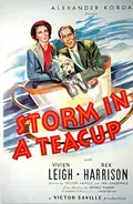 Storm in a Teacup poster