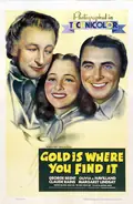 Gold Is Where You Find It poster