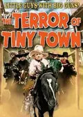 The Terror of Tiny Town poster