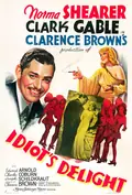 Idiot's Delight poster