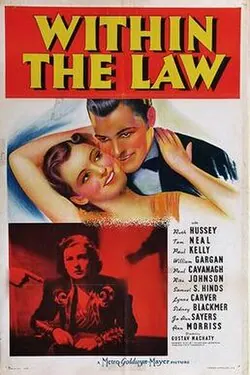Within the Law poster