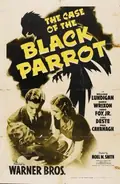 The Case of the Black Parrot poster