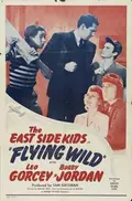 Flying Wild poster