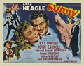 Sunny poster