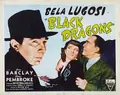 Black Dragons poster