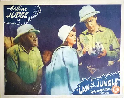 Law of the Jungle poster