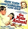 The Male Animal poster