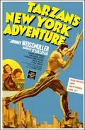 Tarzan's New York Adventure poster
