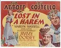 Lost in a Harem poster