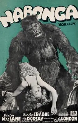Nabonga poster