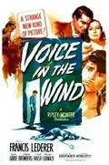 Voice in the Wind poster