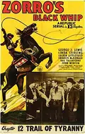 Zorro's Black Whip poster