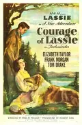 Courage of Lassie poster