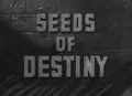 Seeds of Destiny poster