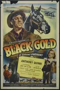 Black Gold poster