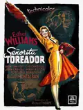 Fiesta poster