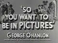 So You Want to Be in Pictures poster