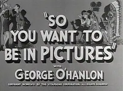 So You Want to Be in Pictures poster