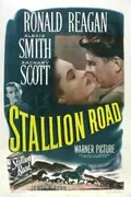 Stallion Road poster