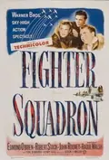 Fighter Squadron poster