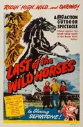 Last of the Wild Horses poster