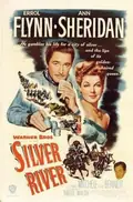 Silver River poster