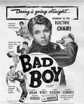 Bad Boy poster