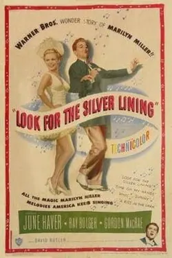 Look for the Silver Lining poster