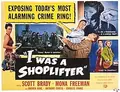 I Was a Shoplifter poster