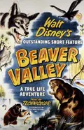 Beaver Valley poster