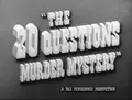 The Twenty Questions Murder Mystery poster