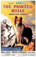 The Painted Hills poster