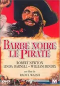 Blackbeard, the Pirate poster