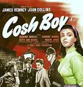 Cosh Boy poster