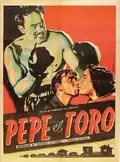 Pepe El Toro poster