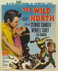 The Wild North poster