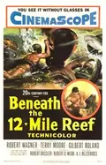 Beneath the 12-Mile Reef poster
